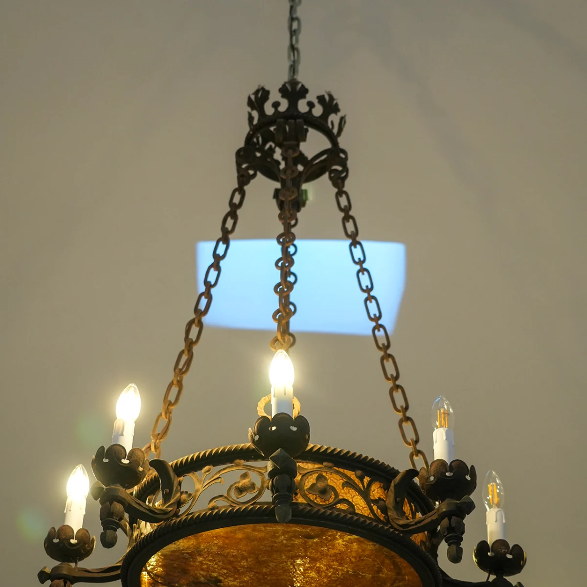 511_DSC04982